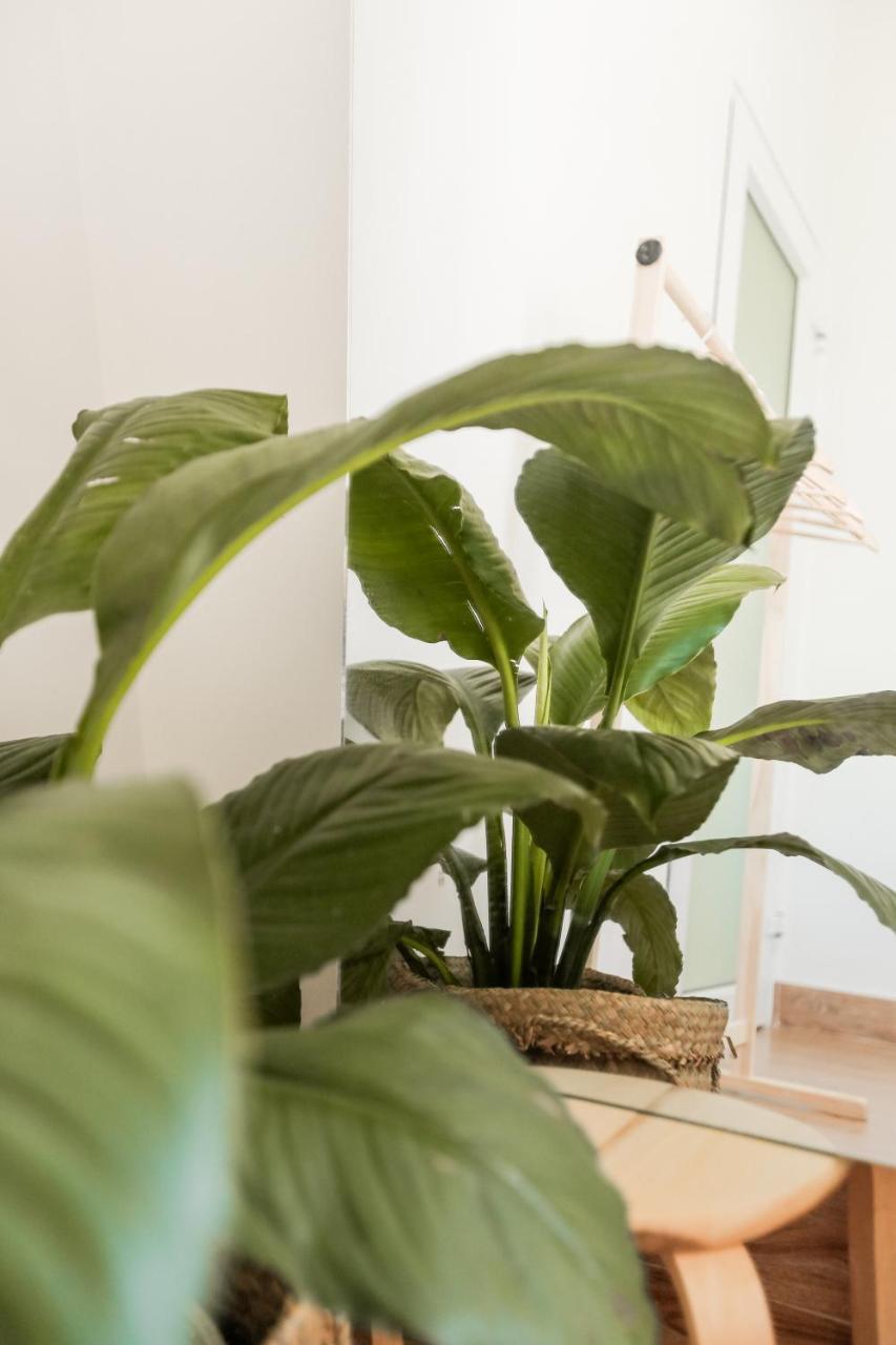 Bisou De La Riviere Apartment ฮอยอัน ภายนอก รูปภาพ